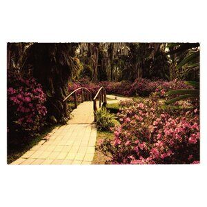 Vintage Cypress Gardens Florida Postcard Scenic Pathway Flowers Bridge Tichnor